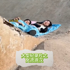 大型之女流浪汉