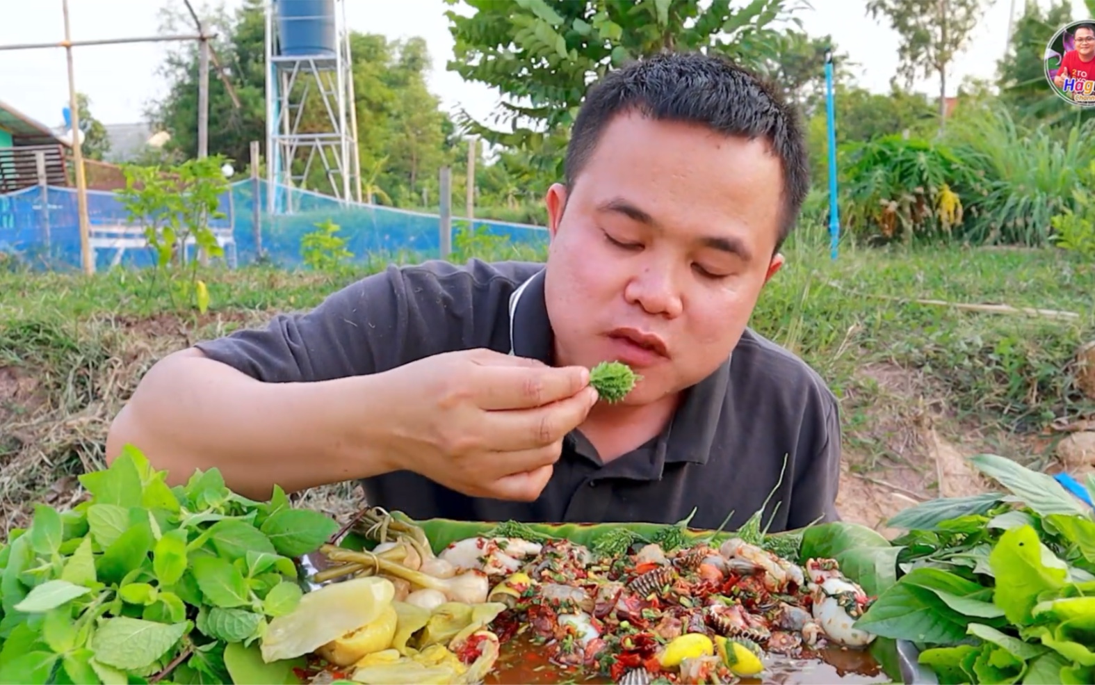 泰国嗯哼哥吃播 今天吃酸辣海鲜小咖 有虾，小章鱼 血蛤 还有小苦瓜 酸菜 和绿化带