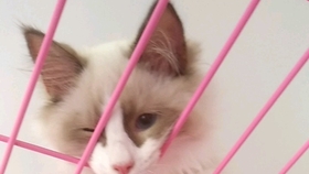 2c8bfe9591284c75df971ebcf93ef6f94bdec7fe.jpg@280w_158h_1c_100q.jpg