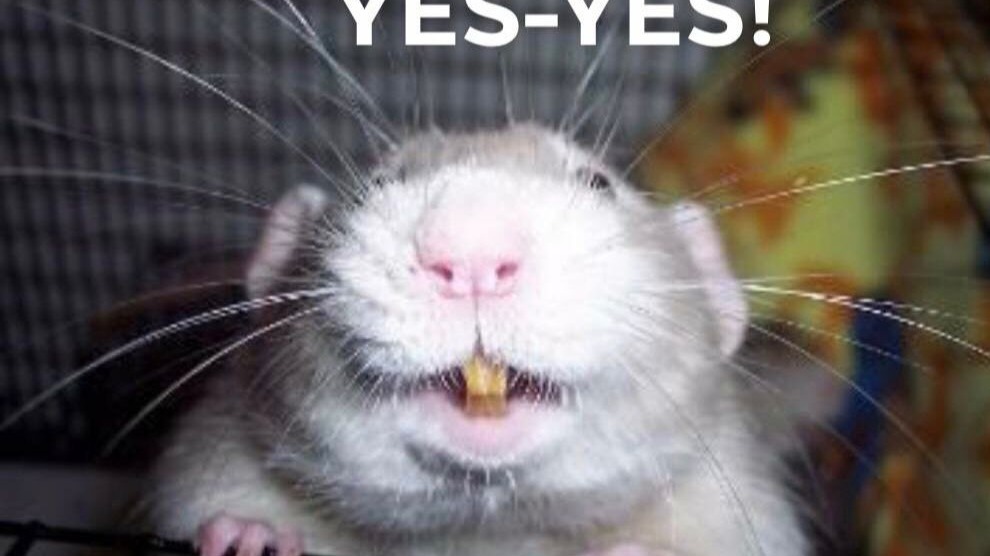 三节涨！涨！涨！