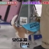 日本机场探知犬工作 1秒一个行李箱
