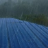 【白噪音】狂风暴雨下的铁皮屋顶雷雨声-让人立即入睡，睡觉的雨声，真实雨声，下雨的声音，学习bgm，冥想，工作，助眠，治愈