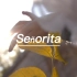 英文歌推荐《Senorita》，