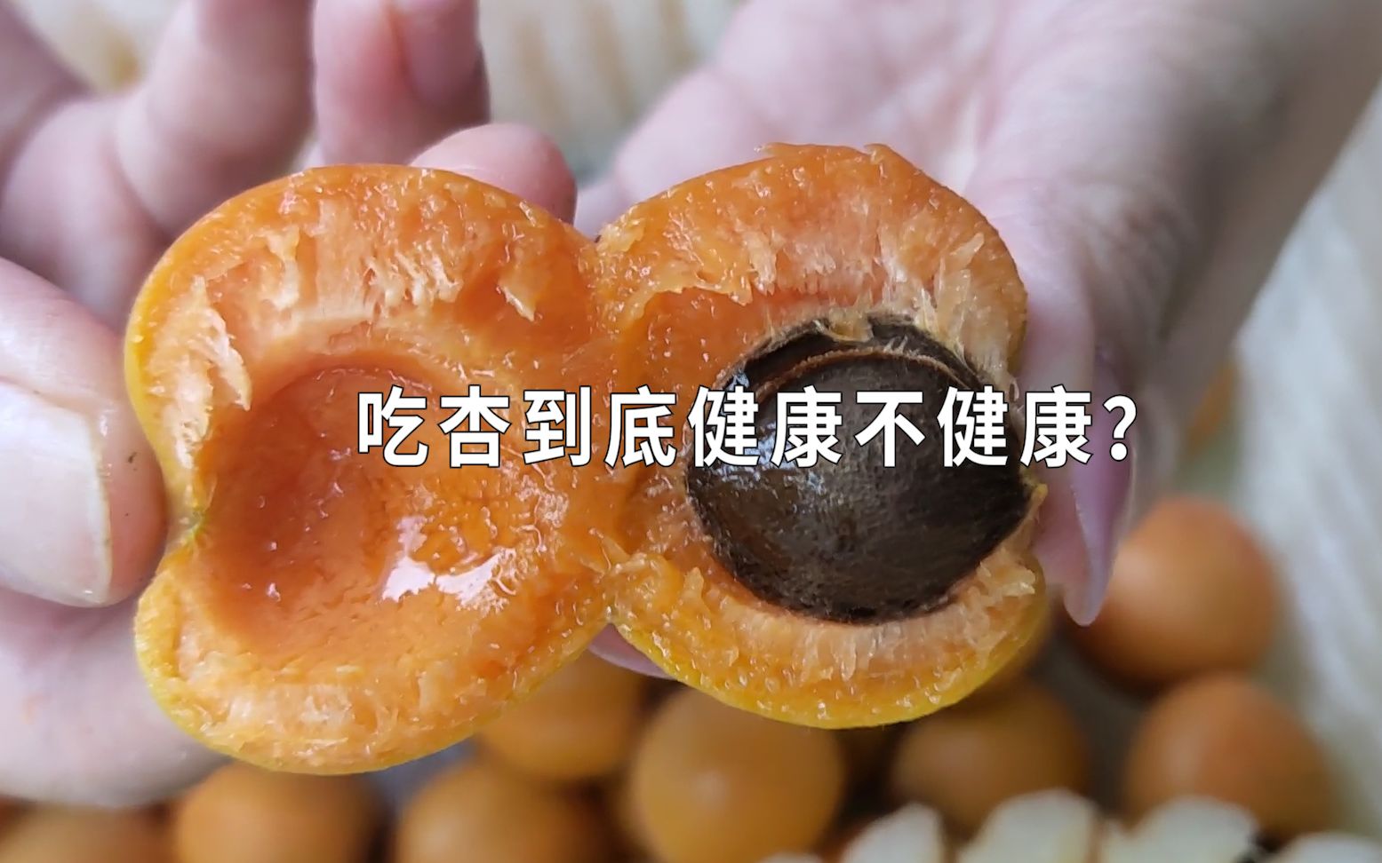 吃杏到底健康不健康？桃养人、杏伤人，下半句你们怎么说？