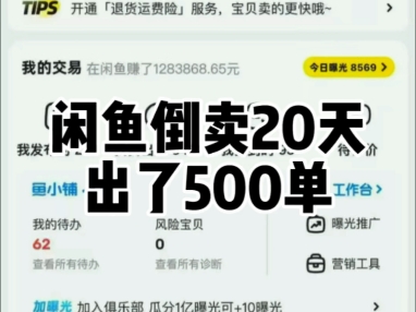闲鱼倒卖20天卖了500单