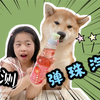 喝汽水送弹珠？小学生评测网红汽水，按下珠子才能喝，开盖时差点吓惨，小助理柴犬表现如何呢