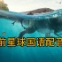 【恐龙】01史前星球中文国语配音版