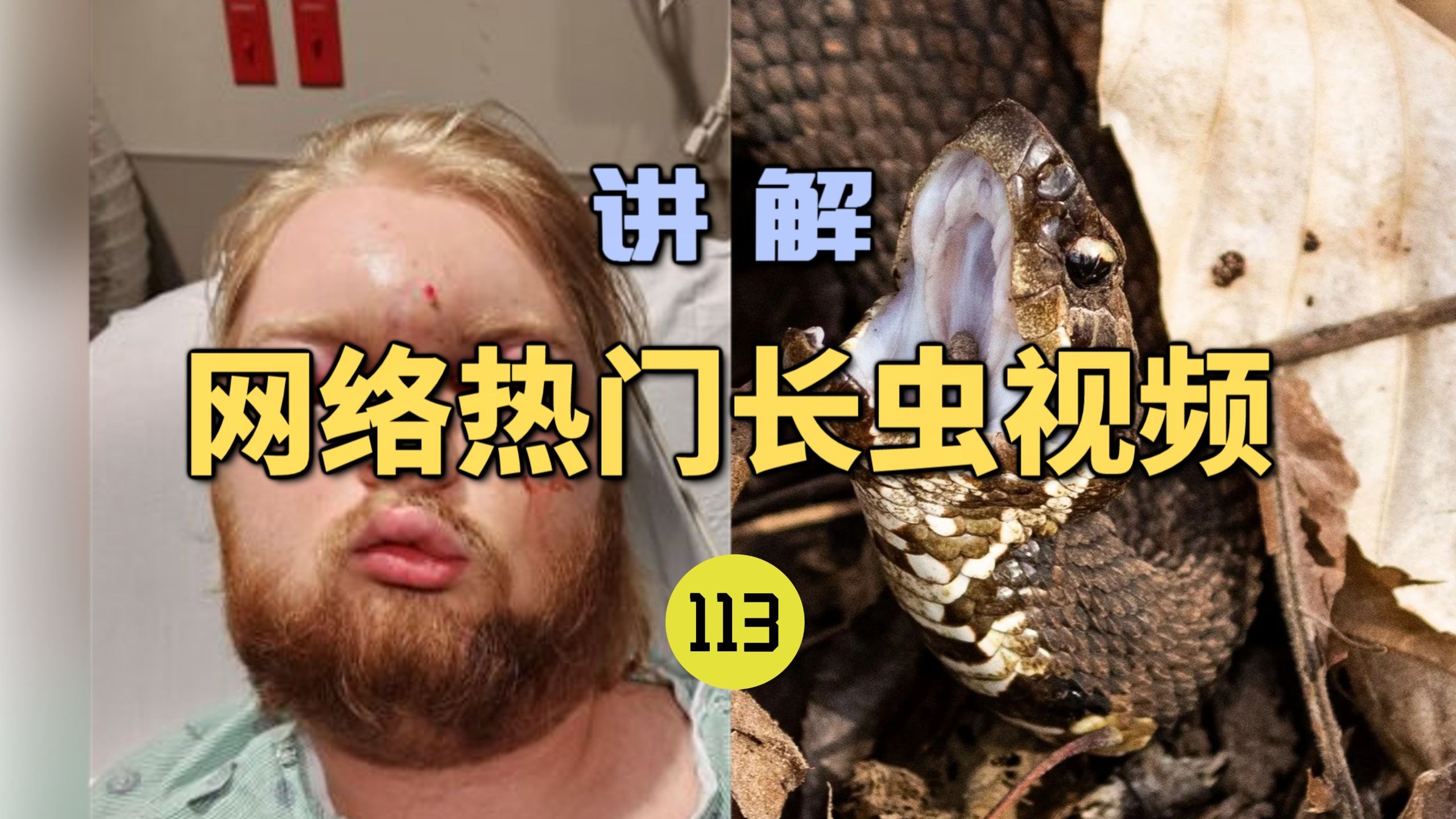 世界记忆大师龙雅