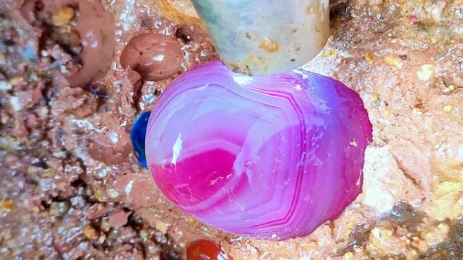 在宝石矿山，找到了罕见的紫色包裹的玛瑙
