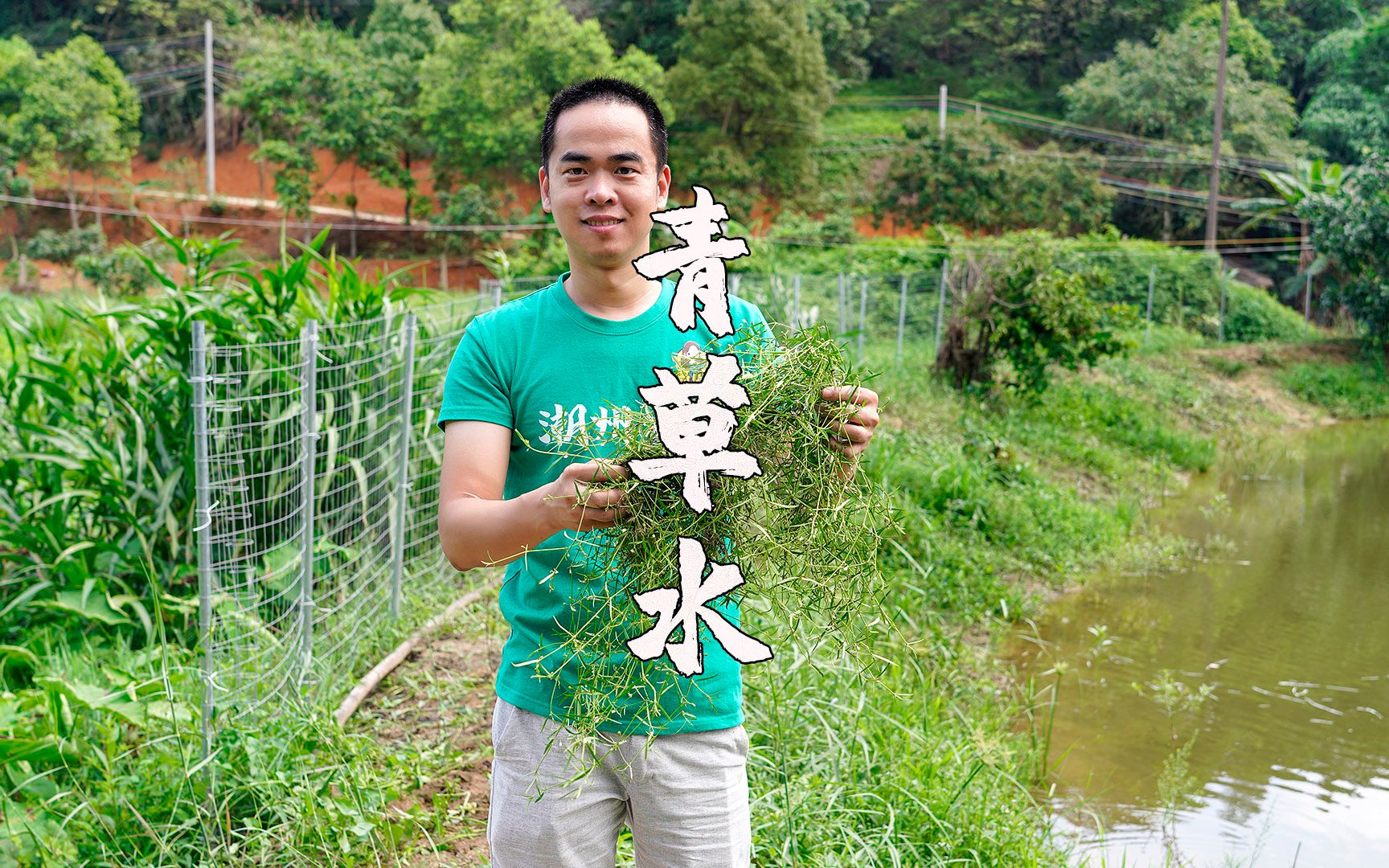 吃青草水,潮汕农村人端午习俗