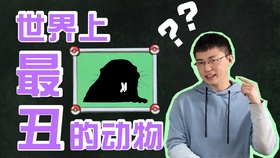 如何拥有超强自愈能力 2d5e06e4d7b621f7f254d2d99dcf3c90236b3793.jpg@280w_158h_1c_100q.jpg