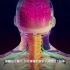 医学动画：人体神经系统，来看看了解一下呗