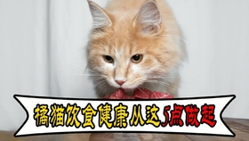 2d651f9ad5d5137fc5880bbfc66f2174840d1c85.jpg@280w_158h_1c_100q.jpg