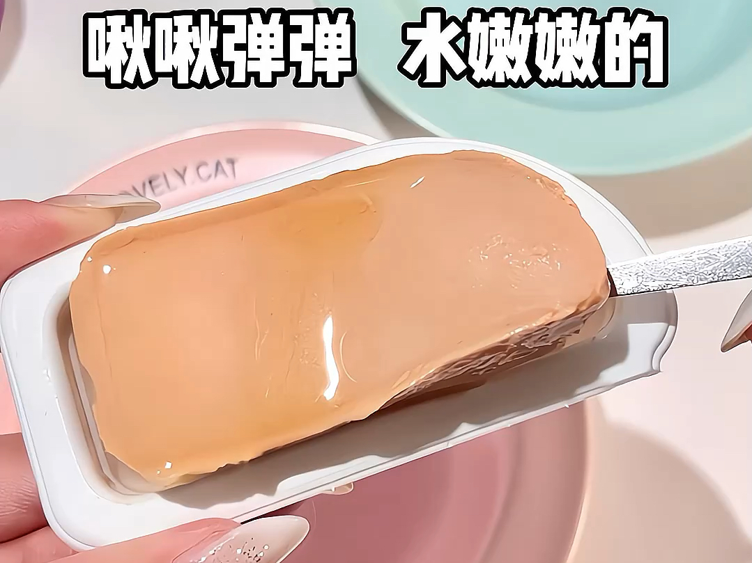 🥪沉浸式｜两只幼猫夜宵配餐吃什么🫕