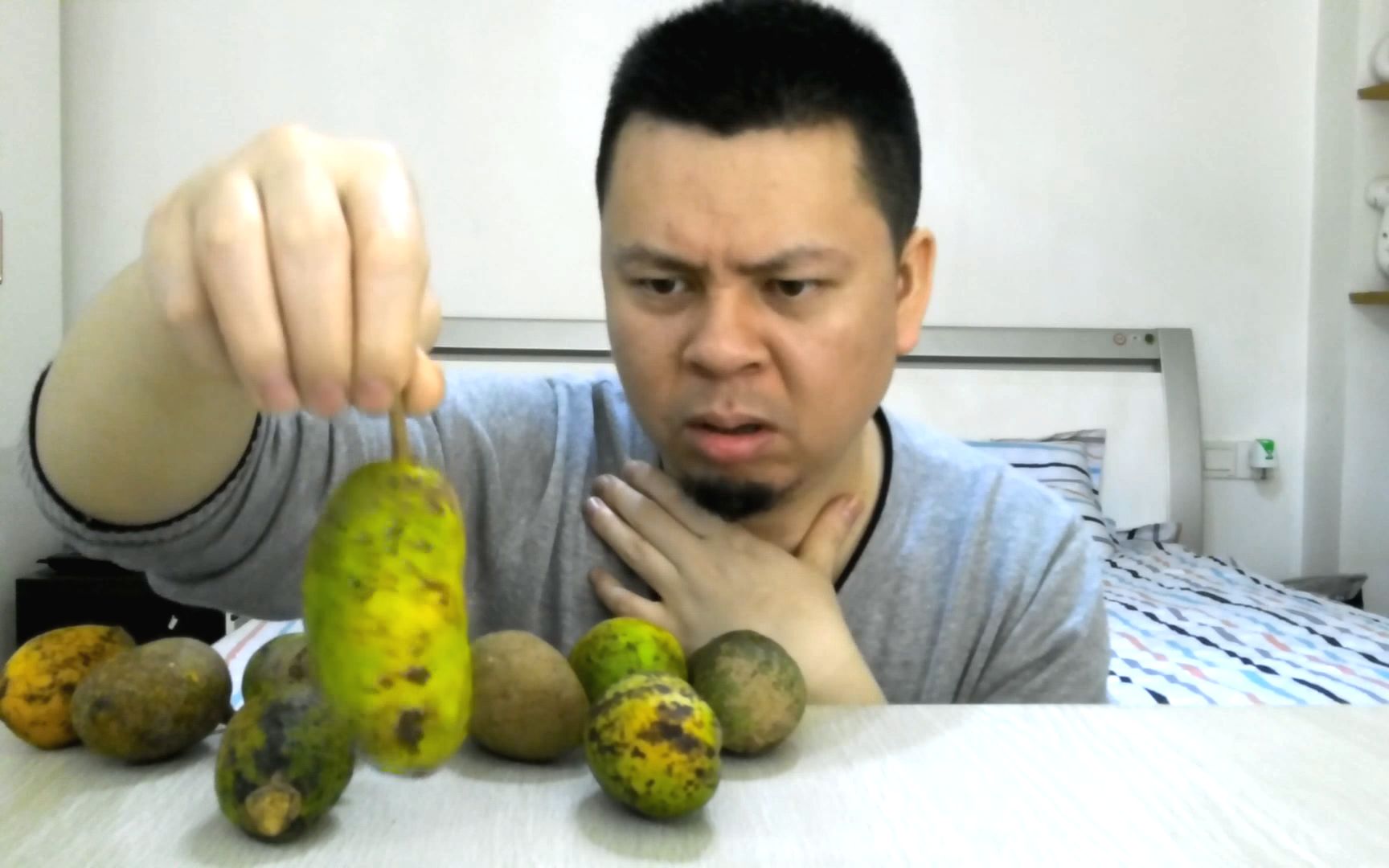 牛卵果 看起来像芒果,吃起来像柿子,吐出来的籽