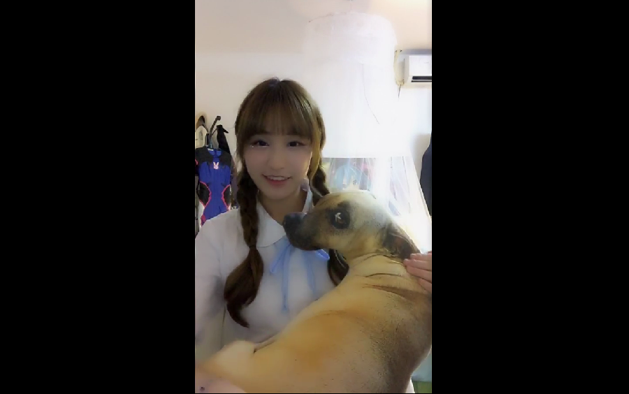 snh48王晓佳20170526口袋48直播