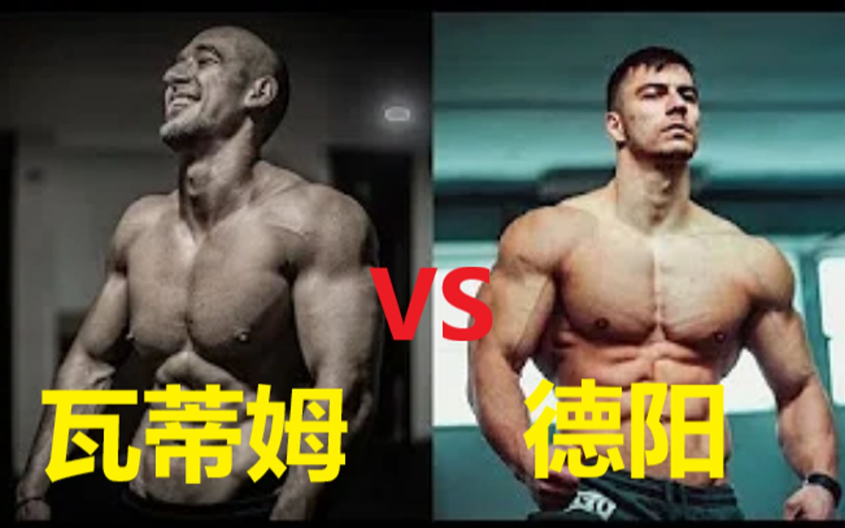 瓦蒂姆 VS 德阳 超燃励志 看完我又做了20个俯卧撑!哔哩哔哩bilibili