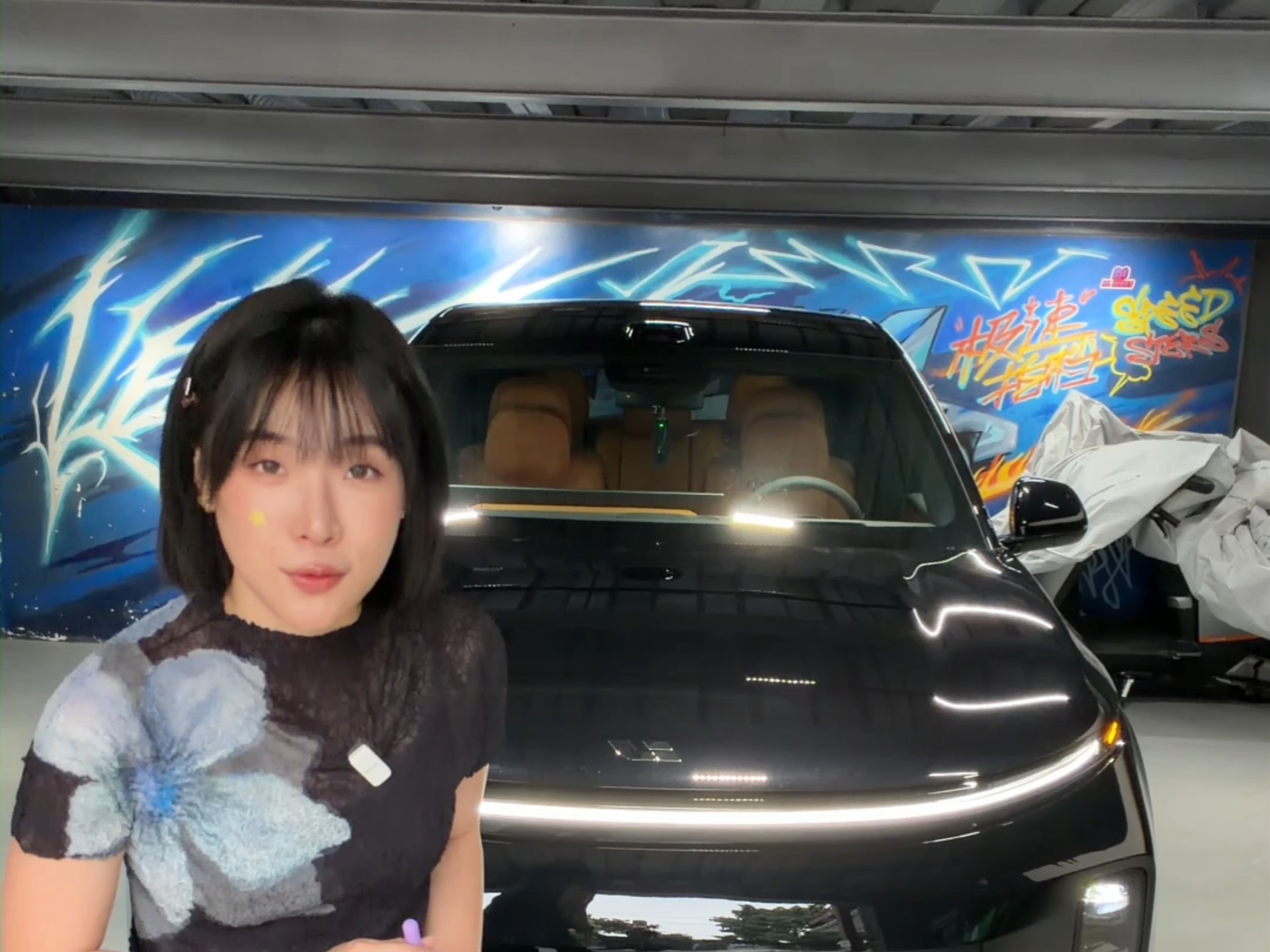 理想L6=半价L9?