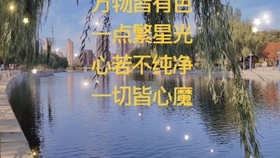 2d92607a1a8de72ec3b83ba08fa3c5748b97d8af.jpg@280w_158h_1c_100q.jpg