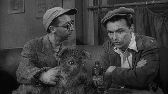 金臂人 .1955译制片