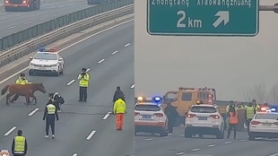 什么叫做智能交通 2dde17e98b63af136539dfbe317903faaeaae358.jpg@310w_174h_1c_100q.jpg