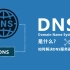 DNS是什么？如何解决DNS服务器异常