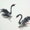 国画入门：黑天鹅