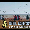 鹤舞鄱湖  牵手世界