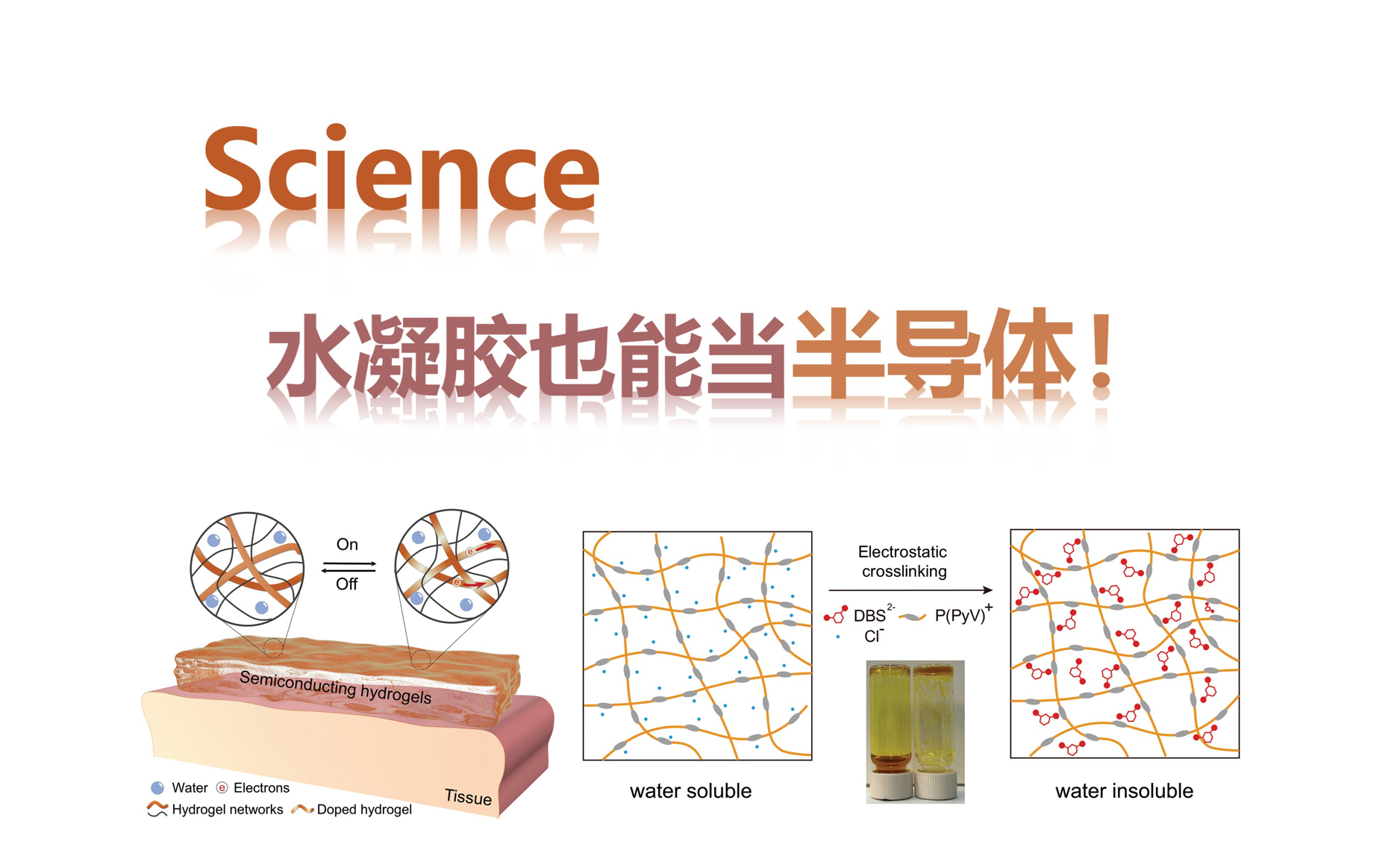 【Science】N 型半导体水凝胶（李秀珍）