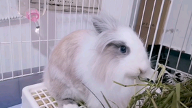 2e27b9c205dc00e868bcdb0ef12243f822c26bd5.png@280w_158h_1c_100q.jpg