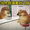 当你获得意外之财，你会怎么处理
