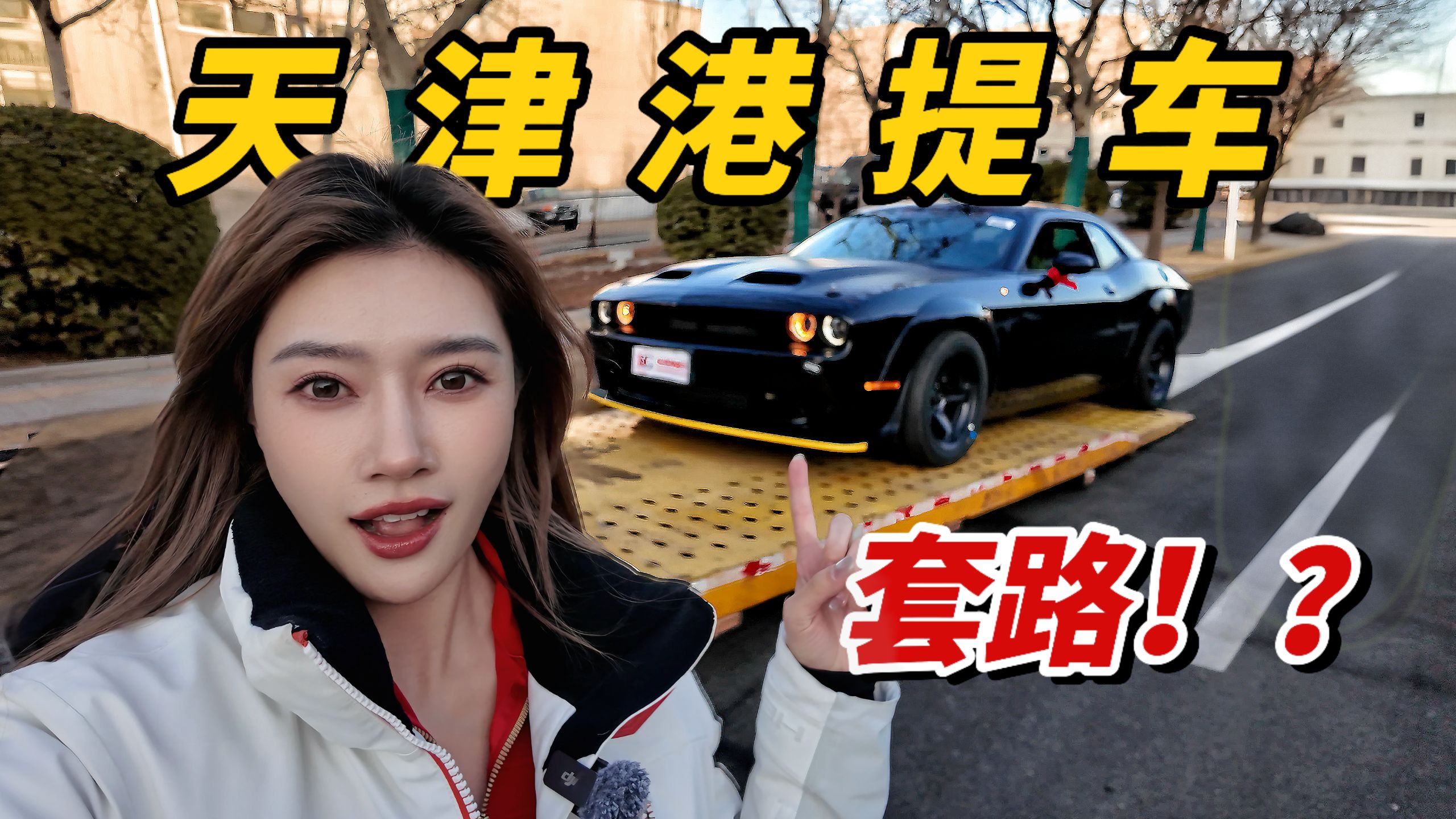 套路满满？比海还深！千万别来天津港买地狱猫！？