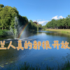 荷兰的性教育和奇妙的婚姻制度，来荷兰留学之前是不是也可以稍微了解一下