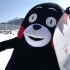 熊本熊第一次挑战滑雪，结果居然……