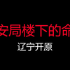 辽宁开原：新领导上任开会当晚，公安局楼下发生凶残杀人案