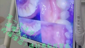 2e5c1cf7b5e4f946e953b18b7882b1d6ba33ddd0.jpg@280w_158h_1c_100q.jpg