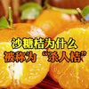 沙糖桔为什么会被称为“杀人橘