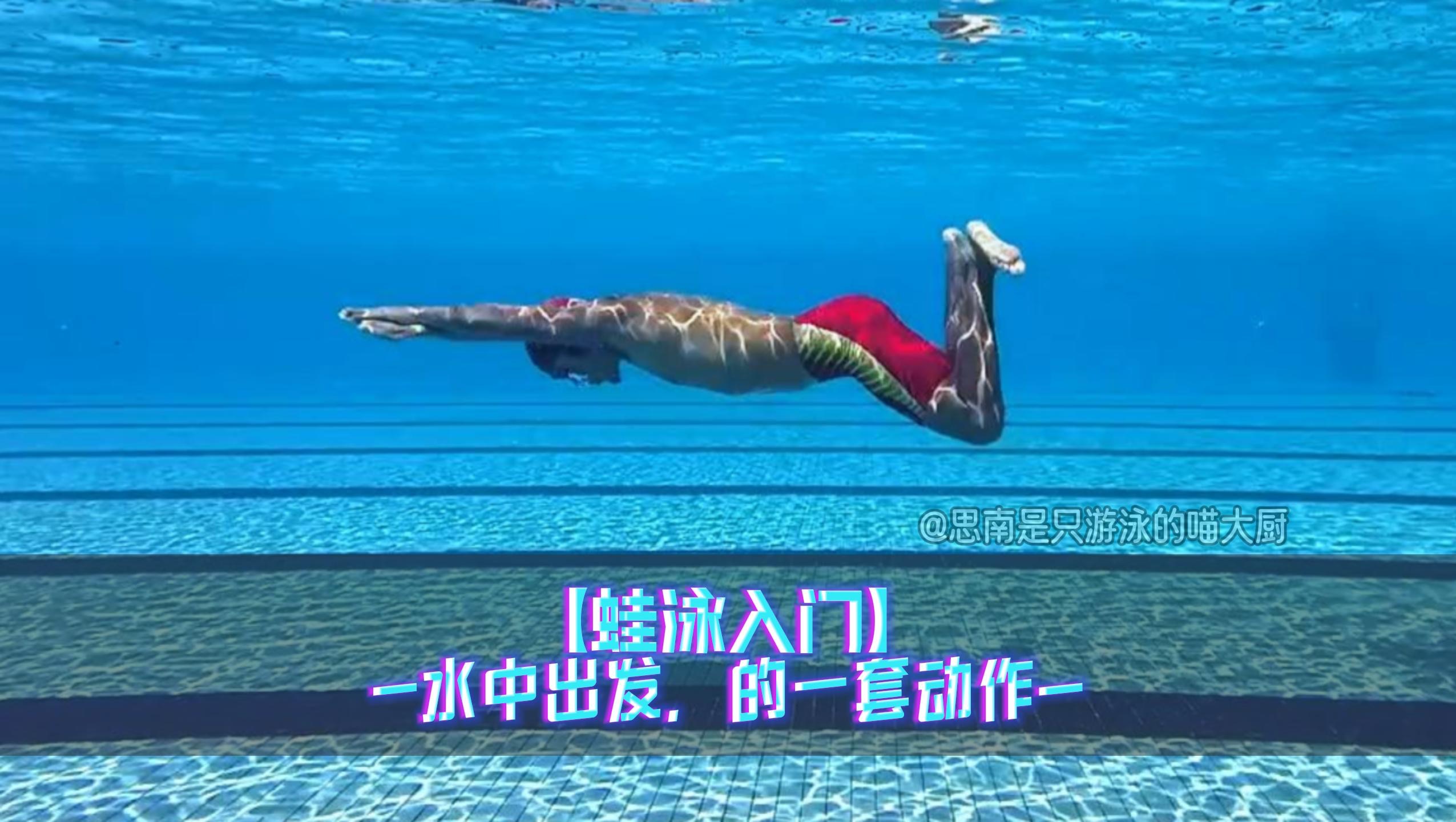 蛙泳入门，水中出发，的一套动作（对蝶泳的启蒙作用）