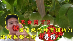 2e5ccd0bbc346dbe153a9446c47c1585e2af2e20.jpg@280w_158h_1c_100q.jpg
