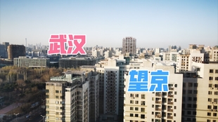 2e744117ac7057a791321e402e8ef0edfdffa27f.jpg@310w_174h_1c_100q.jpg
