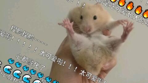 2e85703dd7d7a7005b7d99ede0e69080250b6d7f.jpg@480w_270h_1c
