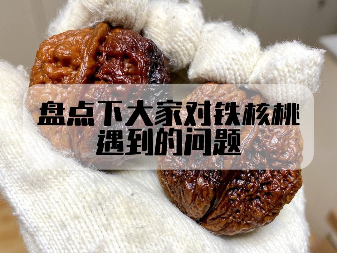 盘点下大家对铁核桃、遇到的问题