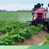 中国：无人车智慧农业