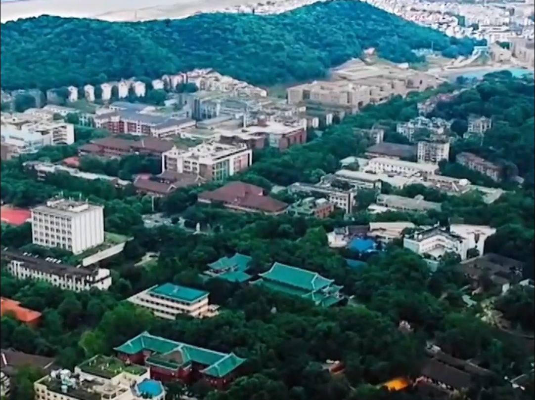 推动中部地区崛起，总书记提出明确要求（新华社）