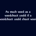 英文绕口令歌曲 How Much Wood Would a Woodchuck Chuck- A tongue twis