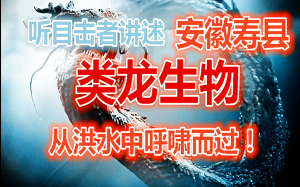 听目击者讲述安徽寿县数条蛟龙从洪水中呼啸而过!哔哩哔哩bilibili