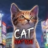 纪录片.日本：猫咪国度.2017[高清][英字]