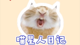 2ed00efb92f3b0add6a7f5cfdd76024e8bf325eb.jpg@280w_158h_1c_100q.jpg