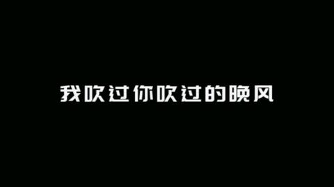 不一样的西北风曲谱_我的西北风曲谱