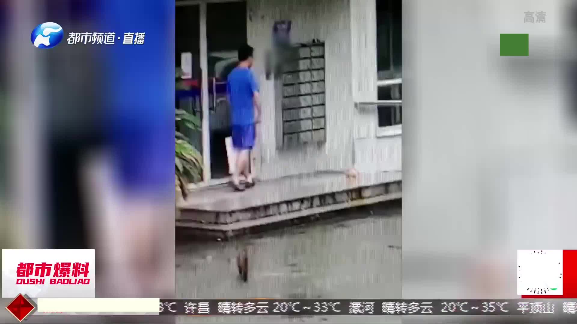你有什么不同概述:残忍！上海男子踩s小猫，猫妈妈目睹s亡过程：小猫满地打滚[一次目更~]的第1张示图